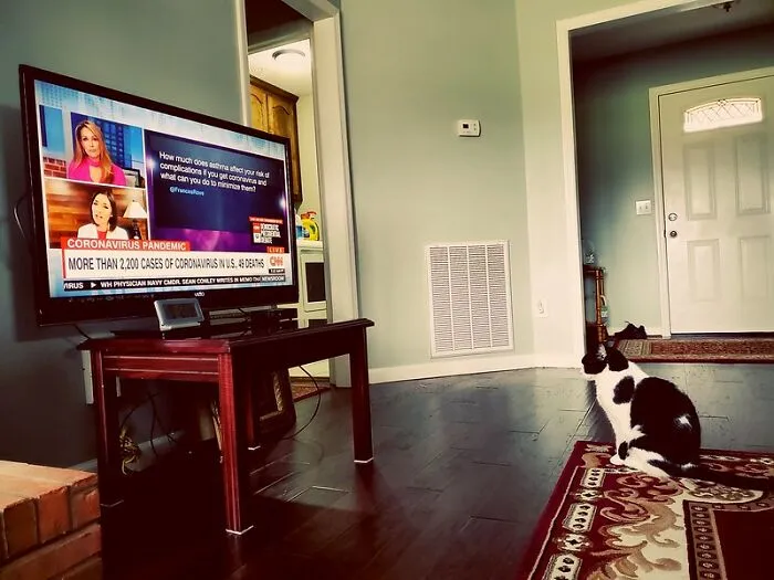 Modern News Turning Into Talk Shows