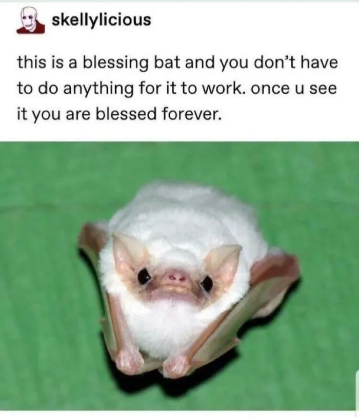 This Facebook Group Celebrates 'Cute Nopes' That Might Change Your Mind About Them (50 Pics)