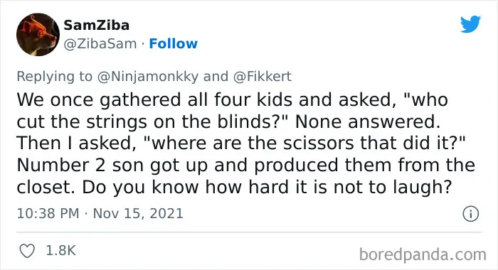 Blinds Story