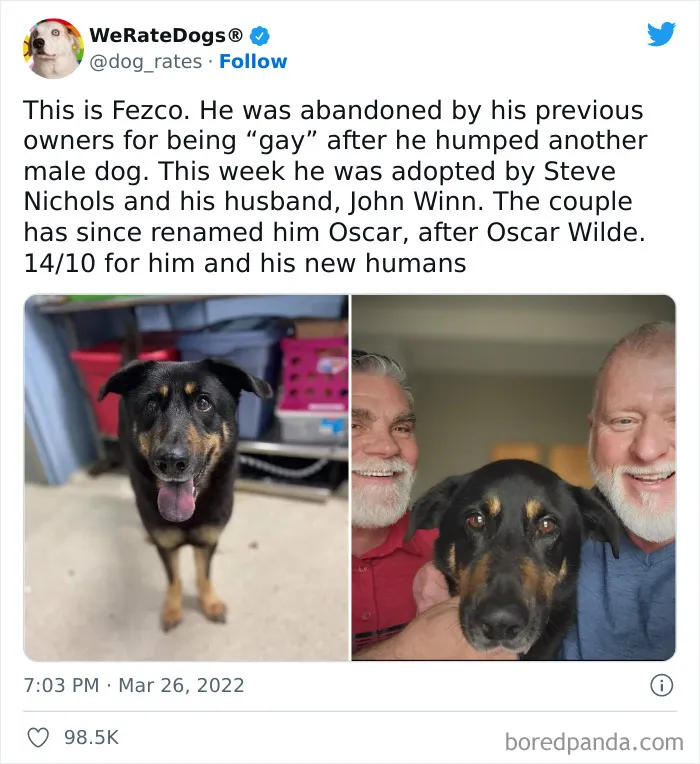 The “WeRateDogs” Twitter Account With 9M Followers Rates People's Dogs, And It's As Hilarious As It Is Wholesome (50 New Pics)