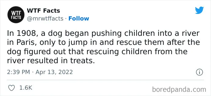 50 Random Facts That Sound Super Weird But Are Totally True, As Shared By This Twitter Account (New Pics)