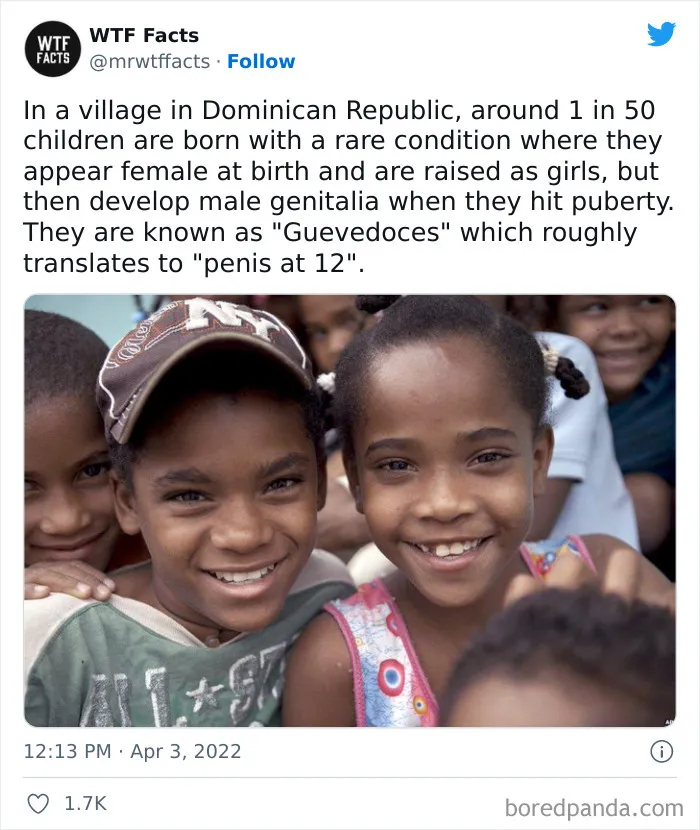 50 Random Facts That Sound Super Weird But Are Totally True, As Shared By This Twitter Account (New Pics)
