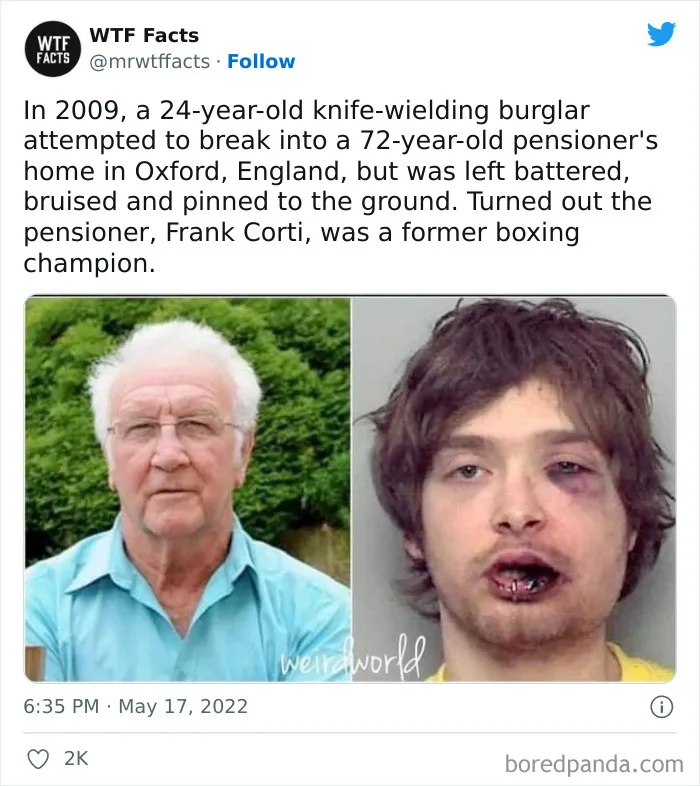 50 Random Facts That Sound Super Weird But Are Totally True, As Shared By This Twitter Account (New Pics)