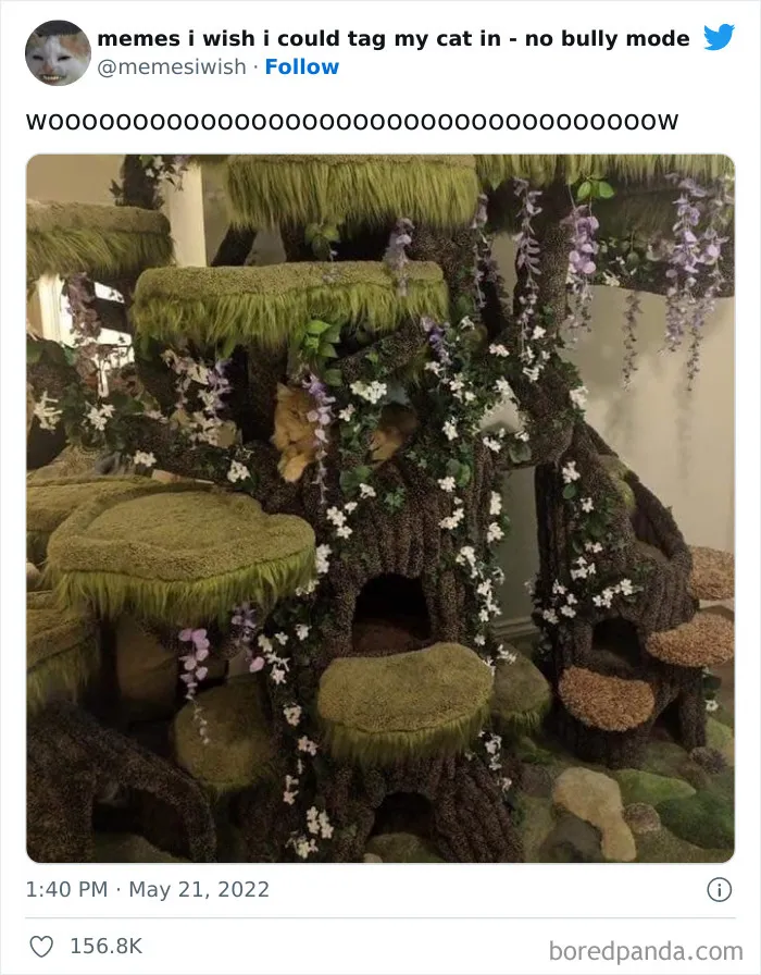 50 Hilarious Posts From The “Memes I Wish I Could Tag My Cat In” Twitter Account (New Pics)