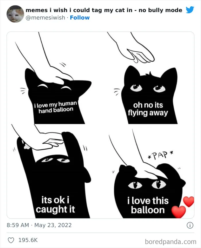 50 Hilarious Posts From The “Memes I Wish I Could Tag My Cat In” Twitter Account (New Pics)