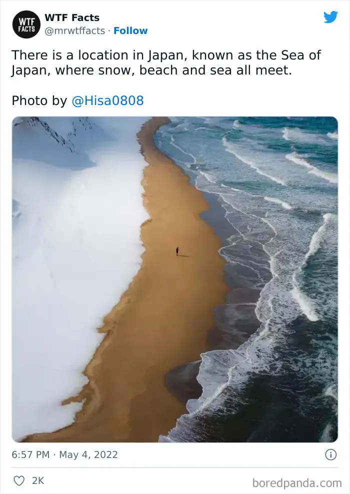 50 Random Facts That Sound Super Weird But Are Totally True, As Shared By This Twitter Account (New Pics)