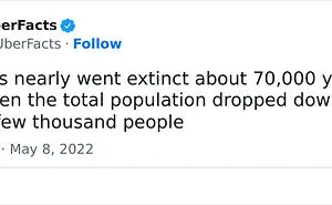 50 Random And Interesting Facts Shared On This Wildly Popular Twitter Page (New Pics)