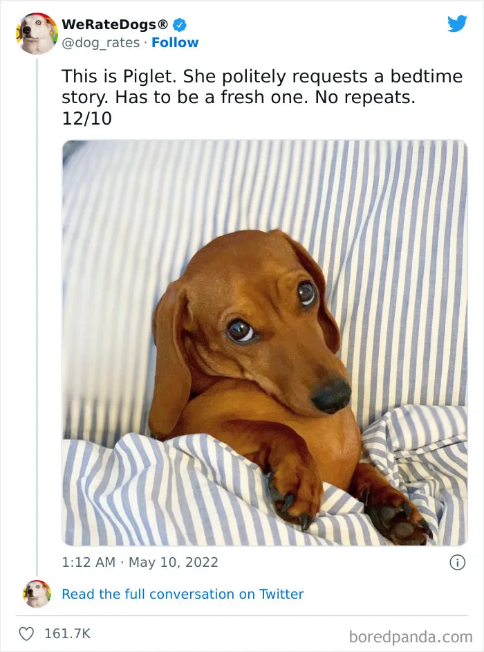 The “WeRateDogs” Twitter Account With 9M Followers Rates People's Dogs, And It's As Hilarious As It Is Wholesome (50 New Pics)