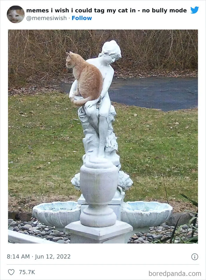 20 “Memes en los que me gustaría poder etiquetar a mi gato” compartidos en esta cuenta de Twitter (imágenes nuevas)