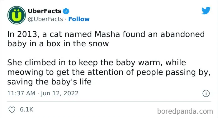 50 Random And Interesting Facts Shared On This Wildly Popular Twitter Page (New Pics)