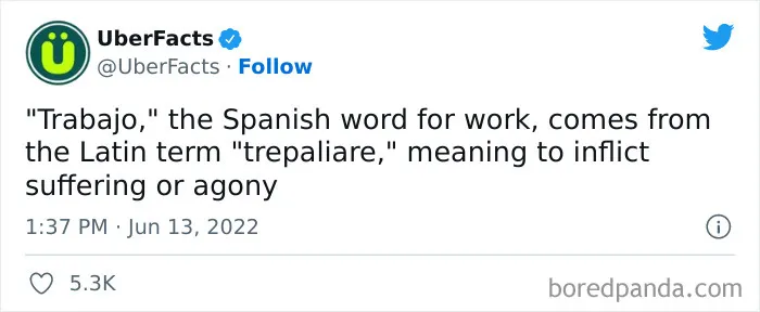 50 Random And Interesting Facts Shared On This Wildly Popular Twitter Page (New Pics)