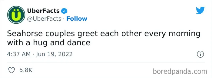 50 Random And Interesting Facts Shared On This Wildly Popular Twitter Page (New Pics)
