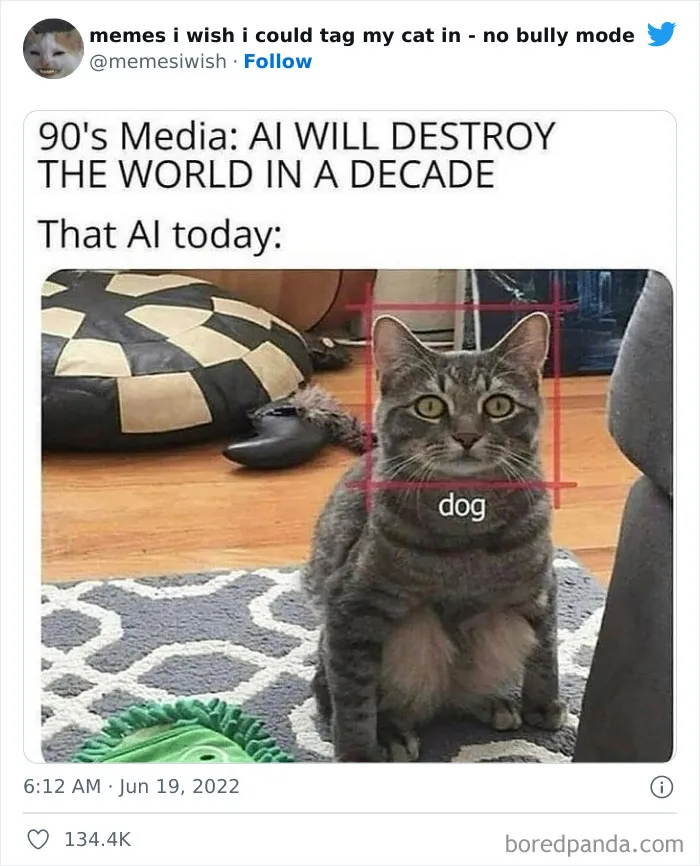 50 Hilarious Posts From The “Memes I Wish I Could Tag My Cat In” Twitter Account (New Pics)