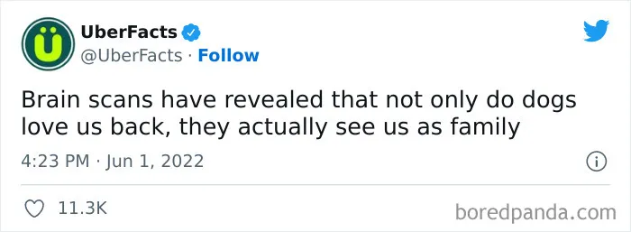 50 Random And Interesting Facts Shared On This Wildly Popular Twitter Page (New Pics)
