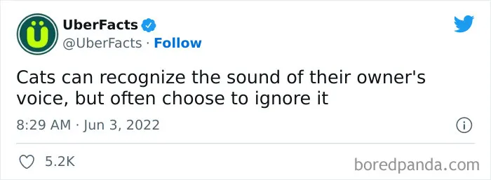 50 Random And Interesting Facts Shared On This Wildly Popular Twitter Page (New Pics)