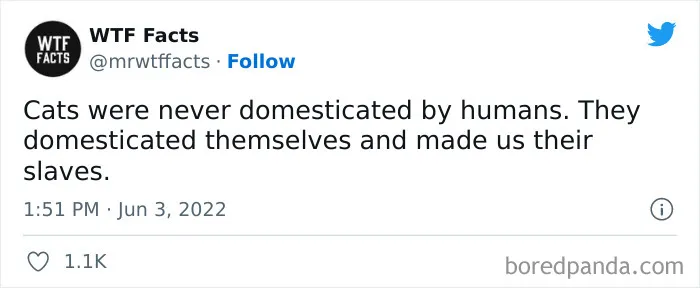 50 Random Facts That Sound Super Weird But Are Totally True, As Shared By This Twitter Account (New Pics)