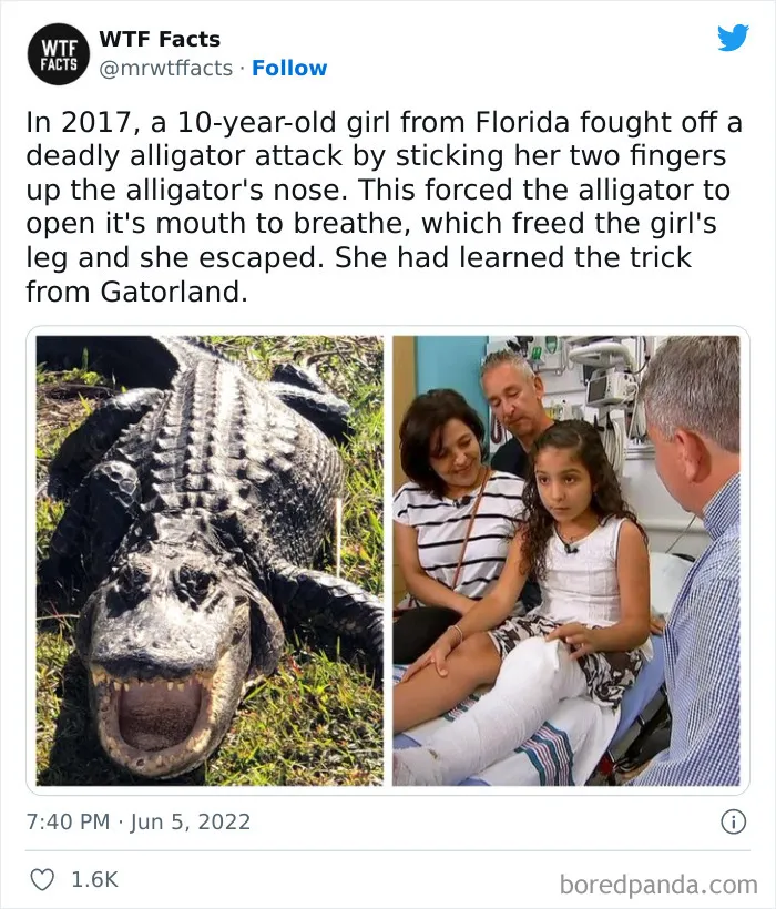 50 Random Facts That Sound Super Weird But Are Totally True, As Shared By This Twitter Account (New Pics)