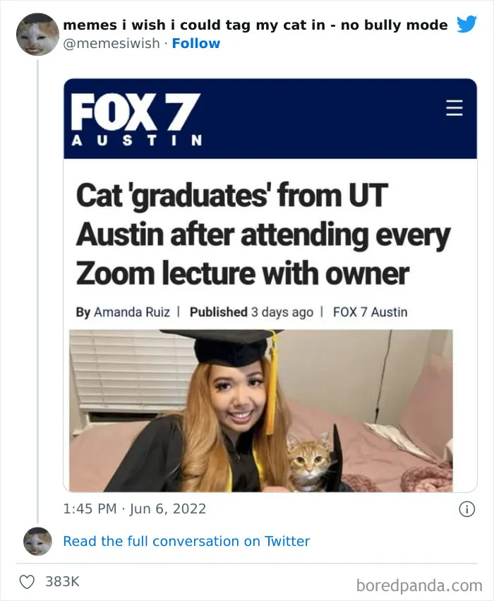 50 Hilarious Posts From The “Memes I Wish I Could Tag My Cat In” Twitter Account (New Pics)