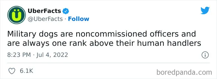50 Random And Interesting Facts Shared On This Wildly Popular Twitter Page (New Pics)