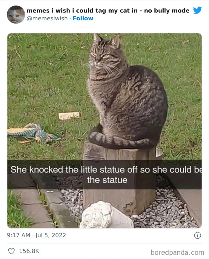 50 Hilarious Posts From The “Memes I Wish I Could Tag My Cat In” Twitter Account (New Pics)