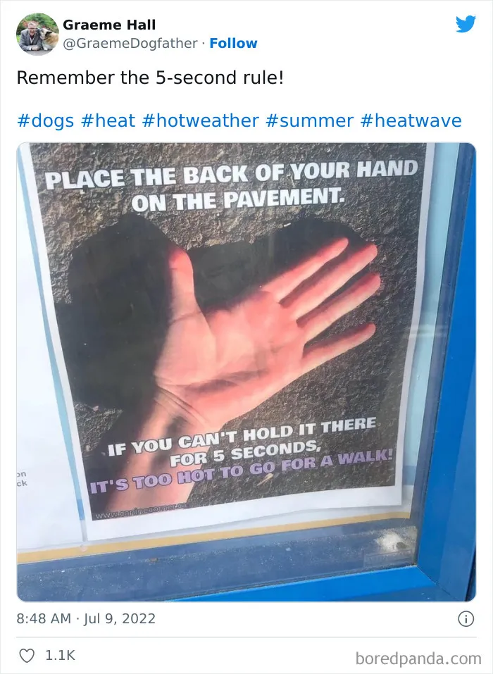 Brits Are Sharing How They Are Dealing With This Record-Breaking Heatwave (40 Posts)