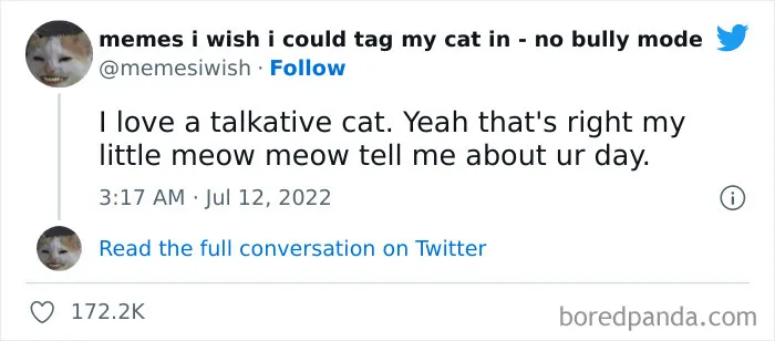 50 Hilarious Posts From The “Memes I Wish I Could Tag My Cat In” Twitter Account (New Pics)