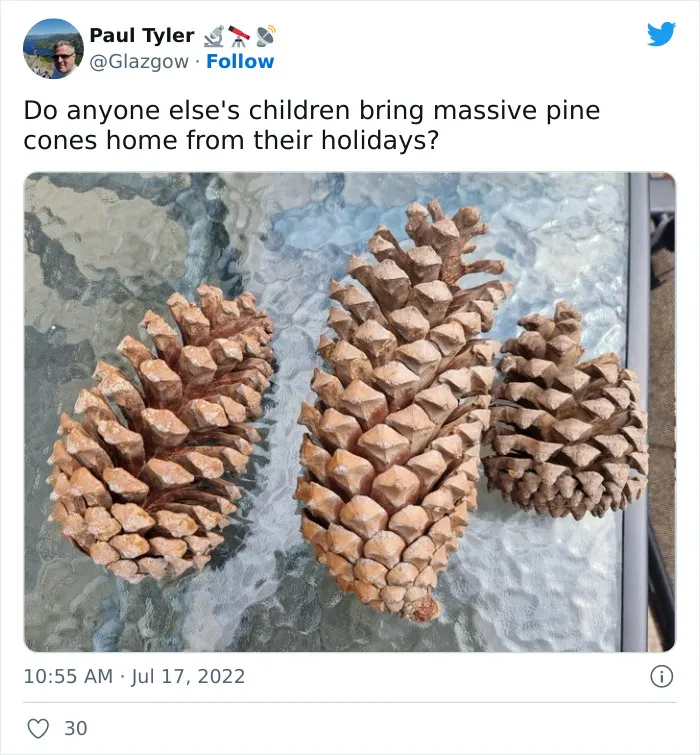30 Hilarious Tweets From Parents Who Can’t Wait For The Summer To Be Over
