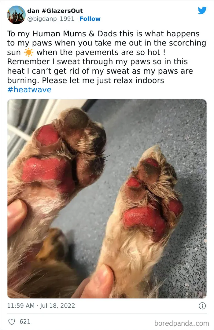 Brits Are Sharing How They Are Dealing With This Record-Breaking Heatwave (40 Posts)