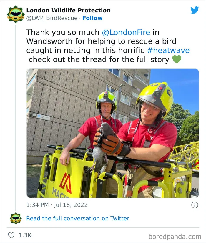 Brits Are Sharing How They Are Dealing With This Record-Breaking Heatwave (40 Posts)