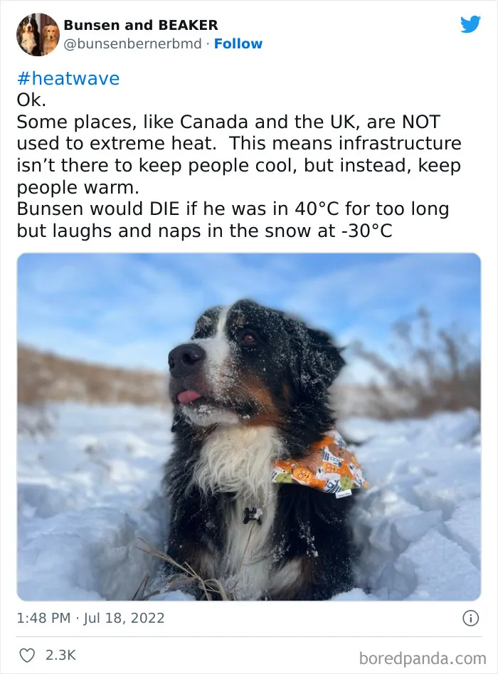 Brits Are Sharing How They Are Dealing With This Record-Breaking Heatwave (40 Posts)