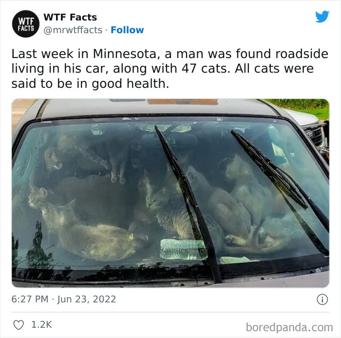 50 Random Facts That Sound Super Weird But Are Totally True, As Shared By This Twitter Account (New Pics)