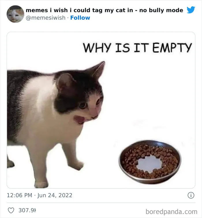 50 Hilarious Posts From The “Memes I Wish I Could Tag My Cat In” Twitter Account (New Pics)
