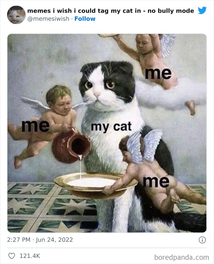 50 Hilarious Posts From The “Memes I Wish I Could Tag My Cat In” Twitter Account (New Pics)