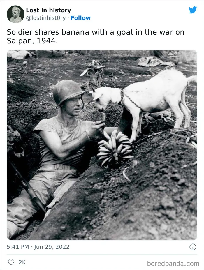 'Lost In History': 30 Illuminating Pictures That "Throw Light On Our Past"