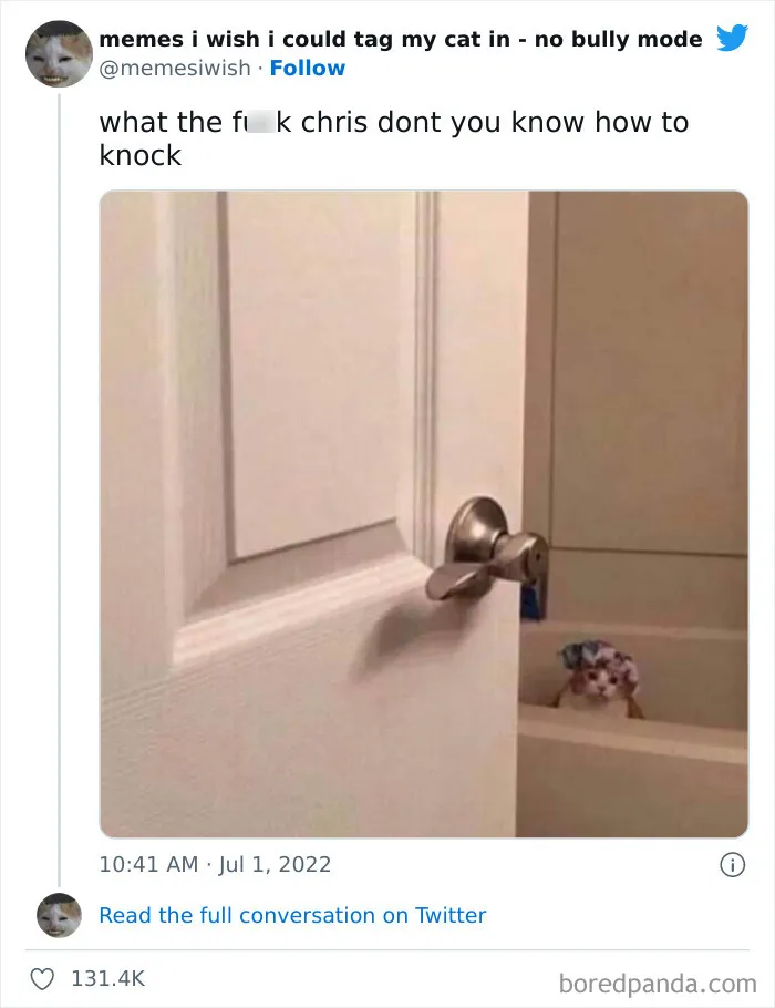 50 Hilarious Posts From The “Memes I Wish I Could Tag My Cat In” Twitter Account (New Pics)