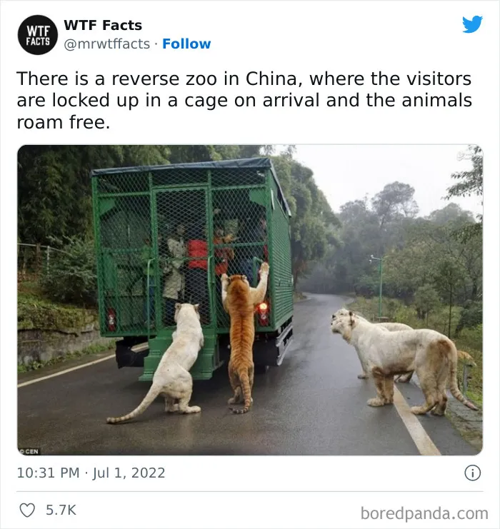 50 Random Facts That Sound Super Weird But Are Totally True, As Shared By This Twitter Account (New Pics)
