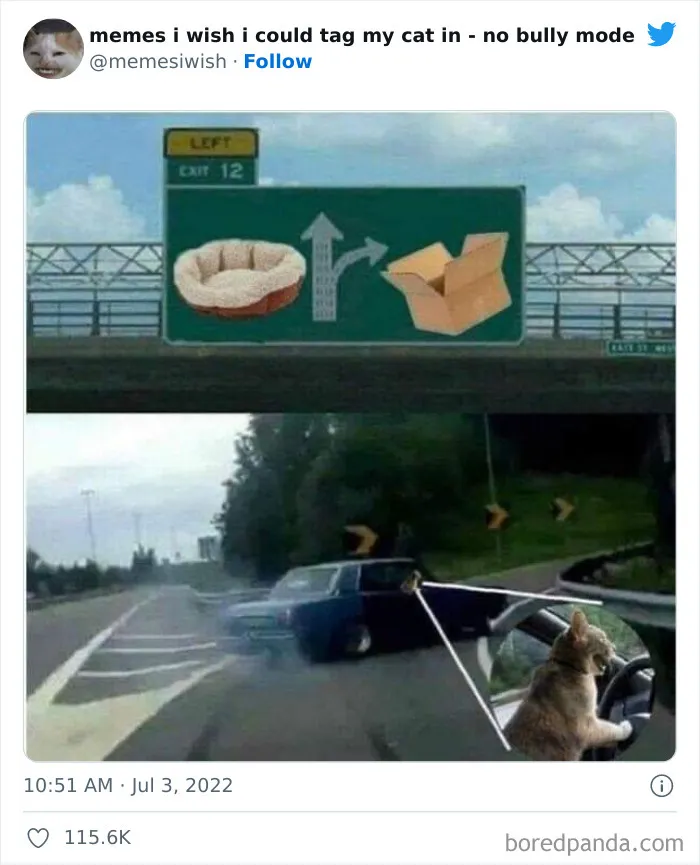 20 “Memes en los que me gustaría poder etiquetar a mi gato” compartidos en esta cuenta de Twitter (imágenes nuevas)