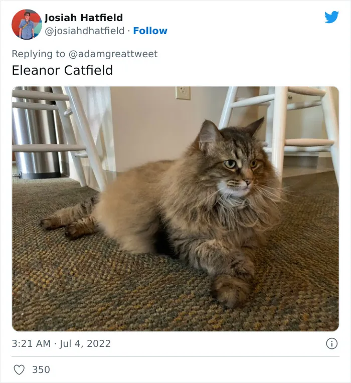 40 Of The Most Bonkers Pet Names, As Shared By Their Owners In This Now-Viral Twitter Thread