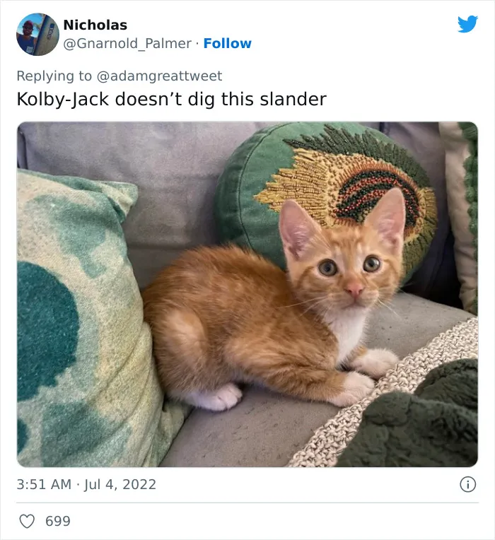 40 Of The Most Bonkers Pet Names, As Shared By Their Owners In This Now-Viral Twitter Thread