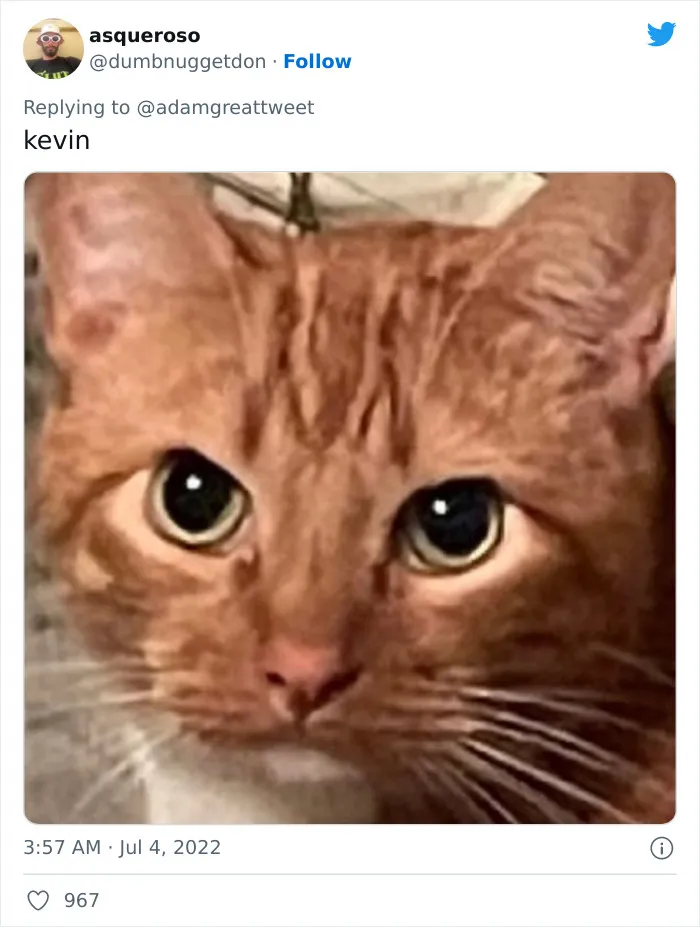 40 Of The Most Bonkers Pet Names, As Shared By Their Owners In This Now-Viral Twitter Thread