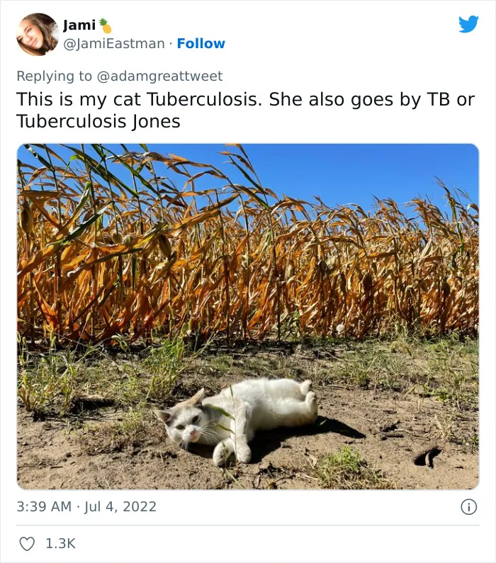 40 Of The Most Bonkers Pet Names, As Shared By Their Owners In This Now-Viral Twitter Thread