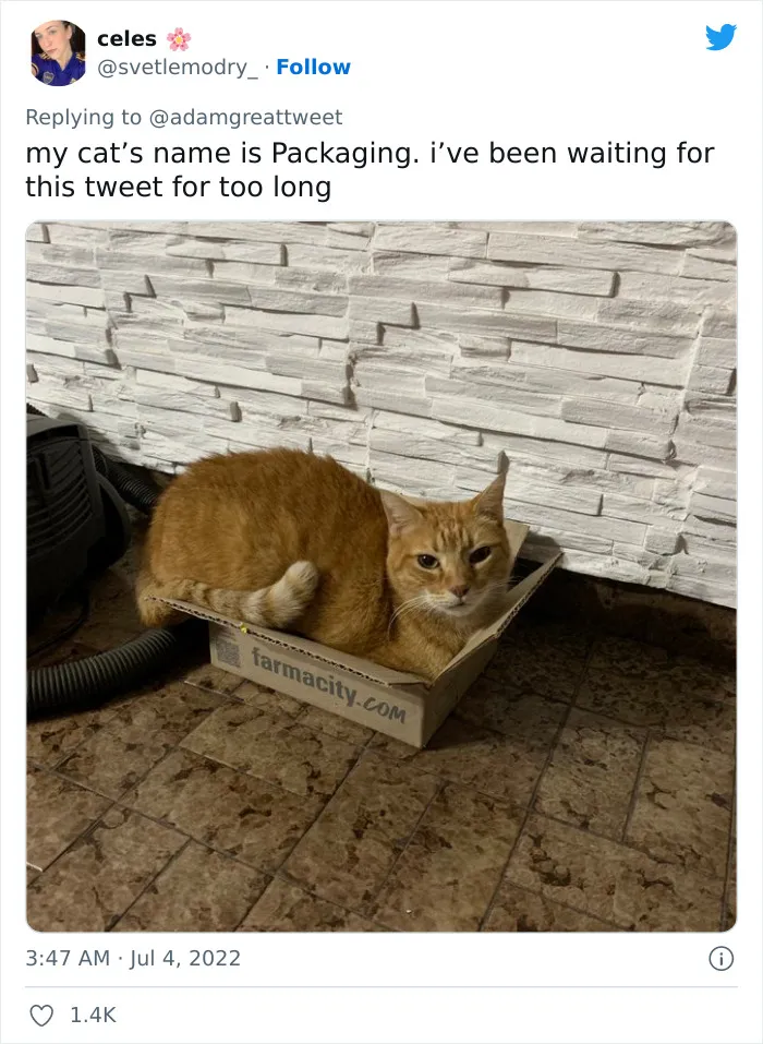 40 Of The Most Bonkers Pet Names, As Shared By Their Owners In This Now-Viral Twitter Thread