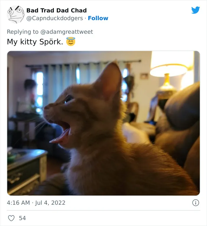 40 Of The Most Bonkers Pet Names, As Shared By Their Owners In This Now-Viral Twitter Thread