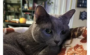 40 Of The Most Bonkers Pet Names, As Shared By Their Owners In This Now-Viral Twitter Thread