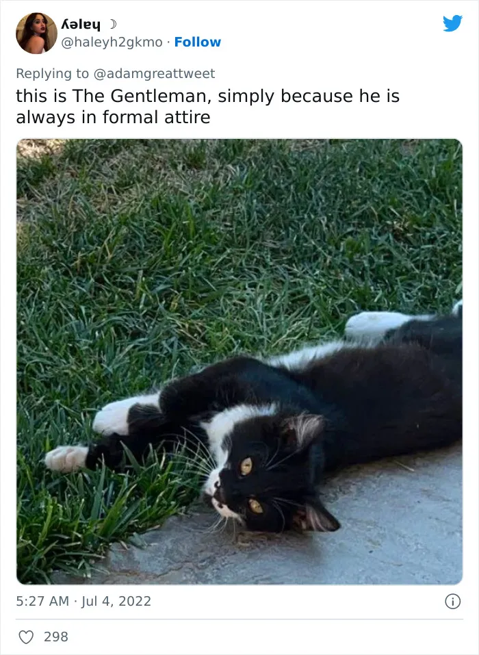 40 Of The Most Bonkers Pet Names, As Shared By Their Owners In This Now-Viral Twitter Thread