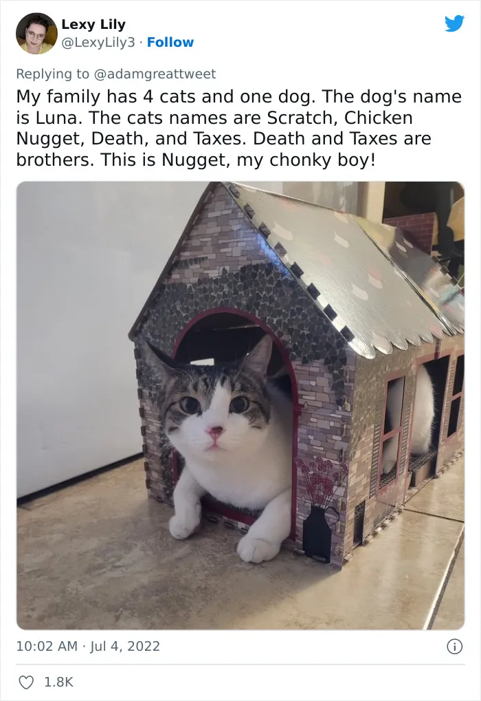 40 Of The Most Bonkers Pet Names, As Shared By Their Owners In This Now-Viral Twitter Thread