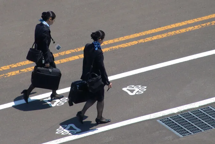 Flight Attendant