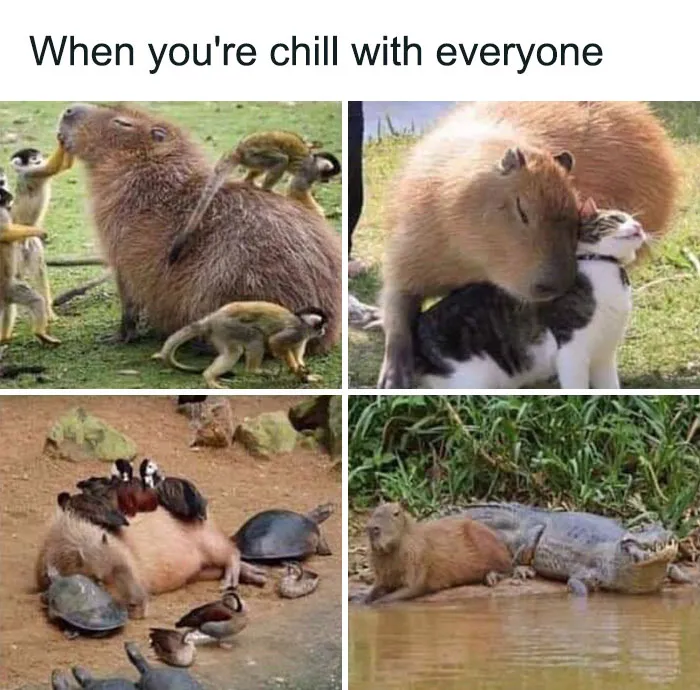 This Facebook Group Celebrates 'Cute Nopes' That Might Change Your Mind About Them (50 Pics)