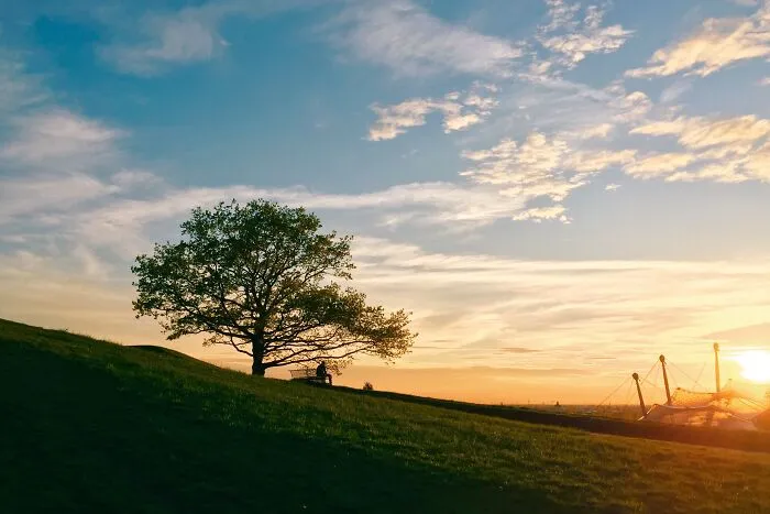 Pictures You Wouldn’t Believe Are Taken With A Smartphone (21 Pics)