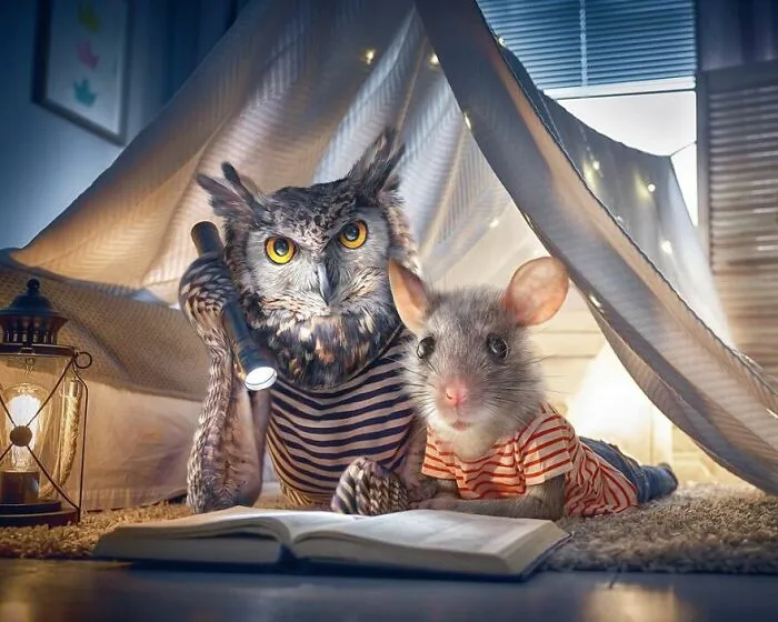 Animals Beyond Fairytale: I Make Bizarre Image Manipulations (21 Pics)